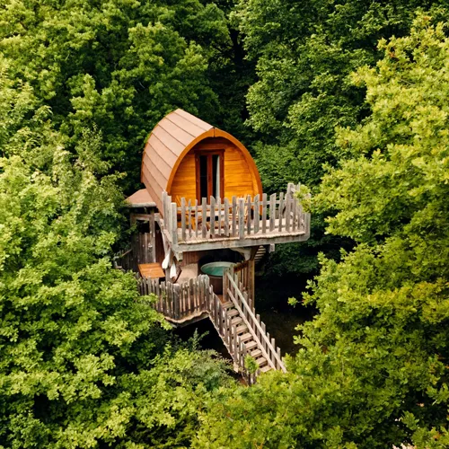 Cabane dans les arbres au cœur de la forêt à Belfahy, hébergement insolite Vosges du Sud